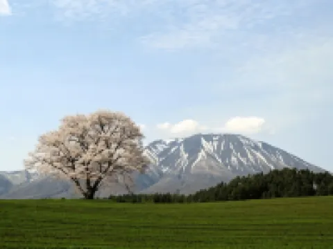 Pension Sanrinsha Hotels in Shizukuishi