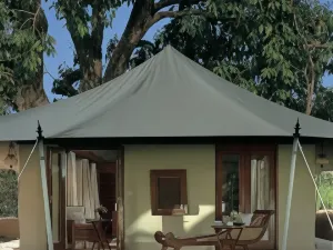 디 오베로이 반야빌라스 란탐보어