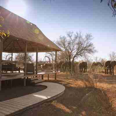 Nkala Safari Lodge Others