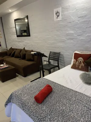 Cozy studio  apartment