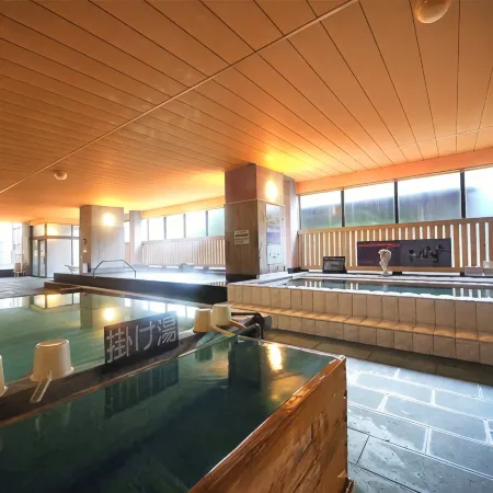 Tokinosumika Fugaku Onsen Hotel Hana No Yu Отели рядом с достопримечательностью «Waketamaike Spring»