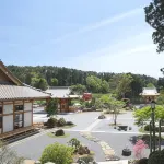 New Tomarizakiso - Bares