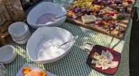 Motswiri Private Safari Lodge - breakfast