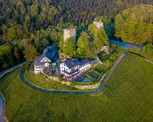 Burg Windeck Hotels in Buhl