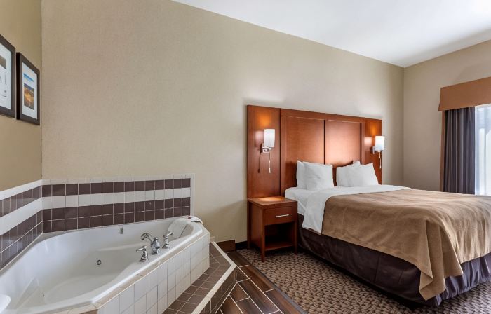 Comfort Inn & Suites Carbondale University Area