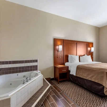 Comfort Inn & Suites Carbondale University Area
