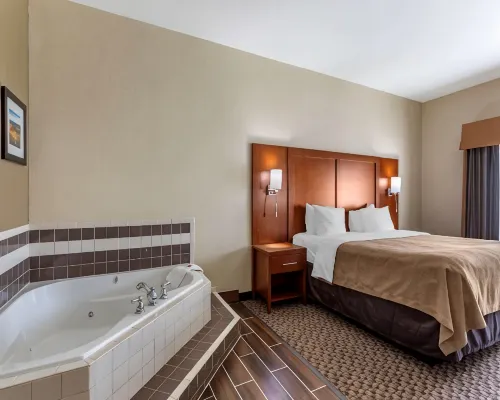 Comfort Inn & Suites Carbondale University Area Hotels in Jackson County