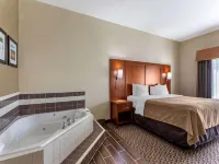 Comfort Inn & Suites Carbondale University Area - 2-Star