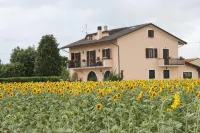 Rosa di Assisi - Wifi