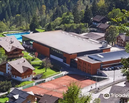 Palladium de Champéry Hotels in Champery