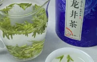 Xiangyu Business Hotel - Ramah Hewan Peliharaan