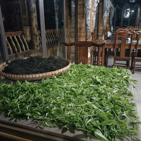 Longsheng Huanlongge Panorama Inn