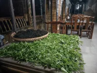 Longsheng Huanlongge Panorama Inn - 朝食