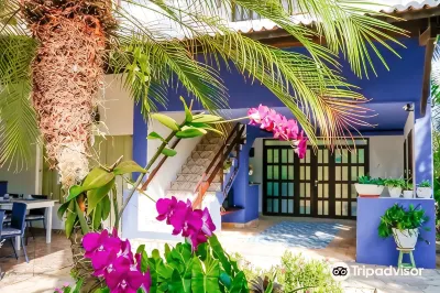 Pousada Arriba Pipa Hotels in 