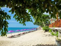 White Sand Samui Resort Hotels near Buffalo Fighting