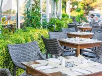 Xenios Dolphin Beach Hotel Hotels in Possidi
