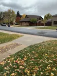 Entire cozy home and PET friendly! - Bungalows