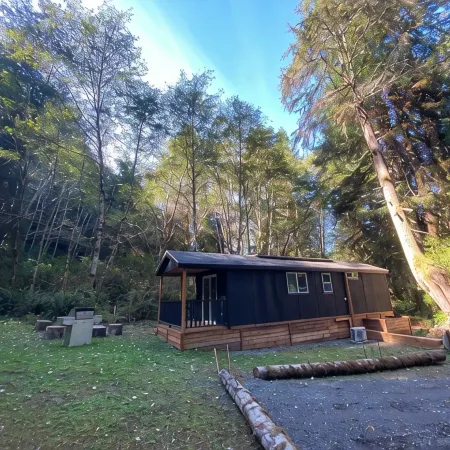 The Black Bear Cabin - 2 bedrooms in the redwoods