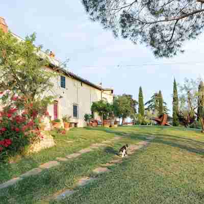 Apartment in the hills of Chianti Classico Hotel Exterior