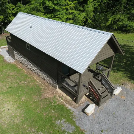 The Bird house