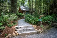 Secluded Cabin in Redwood Forest - シャレー