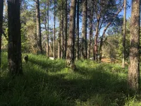 薄霧靜居套房