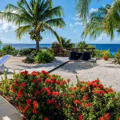 Luxury oceanfront villa, full AC private pool, direct ocean access, great diving Hotel Exterior