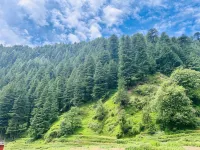 Barot Palace Hotels in Mandi District