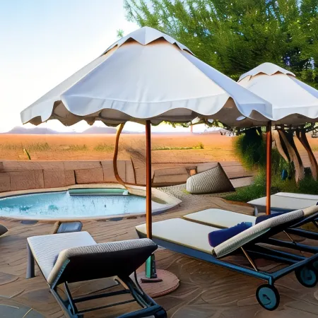 Last Word Madikwe