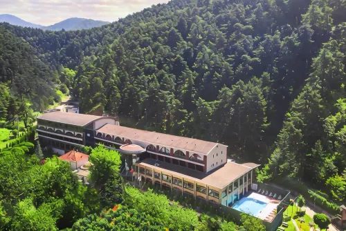Sarot Termal Park Resort & Spa - Halal Hotel - con terme