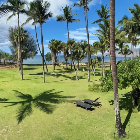 1Br/1BA Beachfront • Great Location • July 2026-Sept 2026 Discounted!