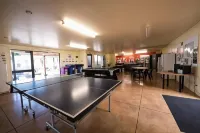 Beachcomber Lodge & Backpacker - Bintang 2