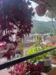 Mums Homestay & Apartment-A Real Homestay Experience - Mountain view