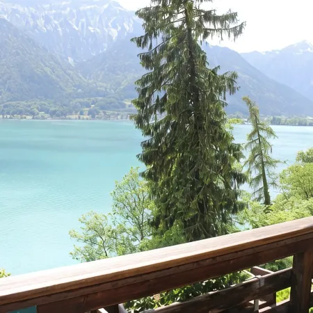 Alpina Boutique Hotel Interlaken - Ringgenberg - Adults Only !