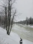 Cozy cabin located in Brasher Falls, NY. Pet friendly! - Alphydda