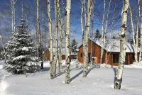 Northwinds Adventures-Walleye Cabin - Hytter