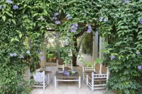 Maison d'Enrì - نادي رياضي