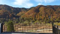 Geumsan Blue Pension - Wifi
