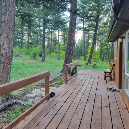 Remote cabin on 40 acres with wildlife and no distractions.