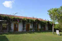 Casa de Campo Vale do Asno - Wifi