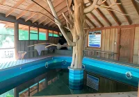 Mirador Los Volcanes Lodge & Boutique - Pools