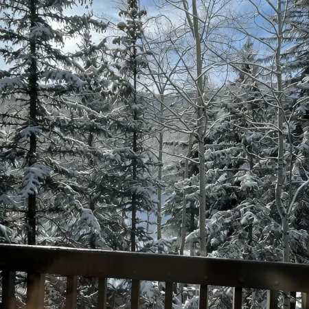 Ski in/Ski out Luxury Penthouse Condo, Hot Tub, Walk to Village in Beaver Creek
