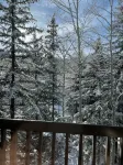 Ski in/Ski out Luxury Penthouse Condo, Hot Tub,  Walk to Village in Beaver Creek - breakfast