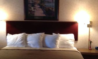 Quality Inn & Suites - Housity