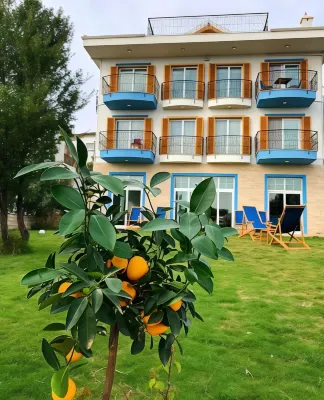 Clementin Suits Sigacık