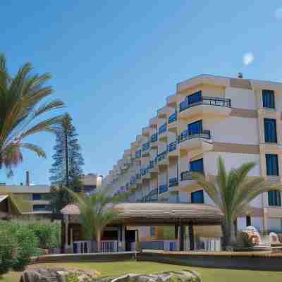 Venus Beach Hotel Hotel Exterior