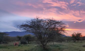 Oldonyo Orok Camp