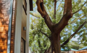 Ons Dorpshuis Guesthouse