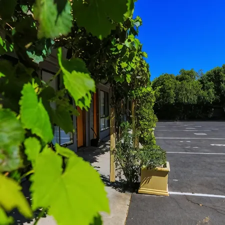 Country Roads Motor Inn Naracoorte