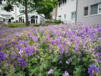 Hotel Nahetal Hotels in Gau-Bickelheim